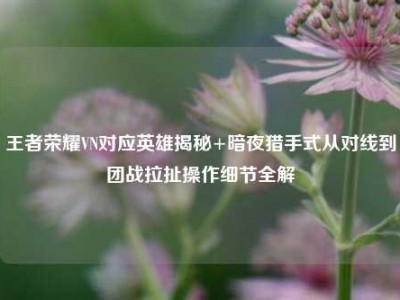 王者荣耀VN对应英雄揭秘+暗夜猎手式从对线到团战拉扯操作细节全解