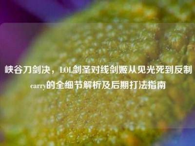 峡谷刀剑决，LOL剑圣对线剑姬从见光死到反制carry的全细节解析及后期打法指南