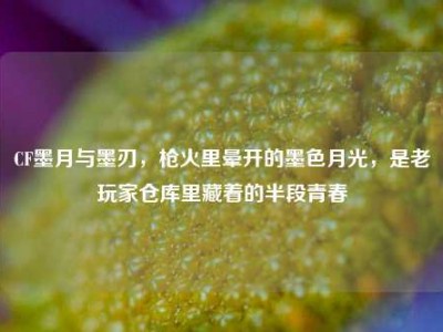 CF墨月与墨刃，枪火里晕开的墨色月光，是老玩家仓库里藏着的半段青春