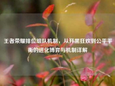 王者荣耀排位组队机制，从开黑狂欢到公平平衡的进化博弈与机制详解