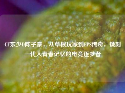 CF东少D陈子豪，从草根玩家到FPS传奇，镌刻一代人青春记忆的电竞逐梦者