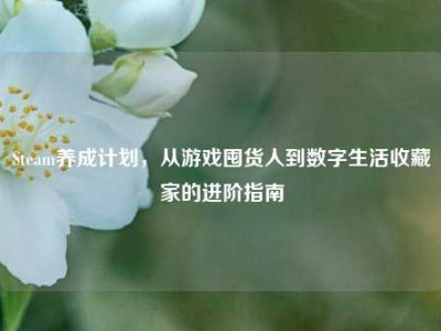 Steam养成计划，从游戏囤货人到数字生活收藏家的进阶指南