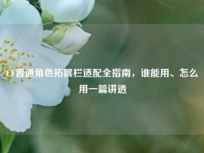 CF普通角色拓展栏适配全指南，谁能用、怎么用一篇讲透