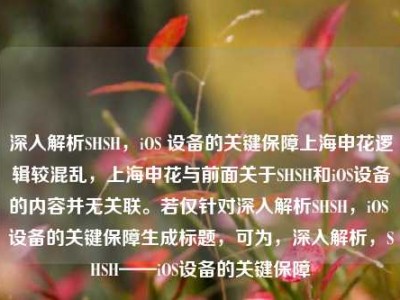深入解析SHSH，iOS 设备的关键保障上海申花逻辑较混乱，上海申花与前面关于SHSH和iOS设备的内容并无关联。若仅针对深入解析SHSH，iOS 设备的关键保障生成标题，可为，深入解析，SHSH——iOS设备的关键保障