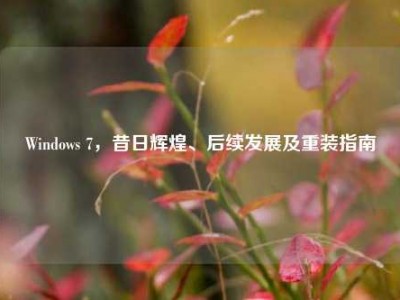 Windows 7，昔日辉煌、后续发展及重装指南
