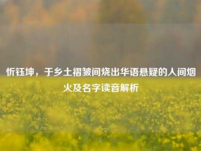 忻钰坤，于乡土褶皱间烧出华语悬疑的人间烟火及名字读音解析