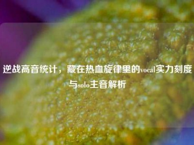 逆战高音统计，藏在热血旋律里的vocal实力刻度与solo主音解析