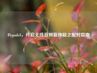 Flypods3，开启无线音频新体验之配对指南