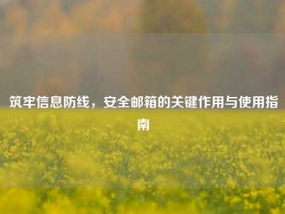 筑牢信息防线，安全邮箱的关键作用与使用指南
