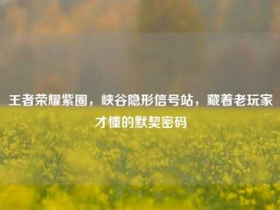 王者荣耀紫圈，峡谷隐形信号站，藏着老玩家才懂的默契密码