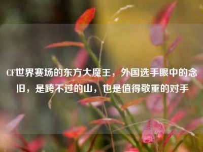 CF世界赛场的东方大魔王，外国选手眼中的念旧，是跨不过的山，也是值得敬重的对手