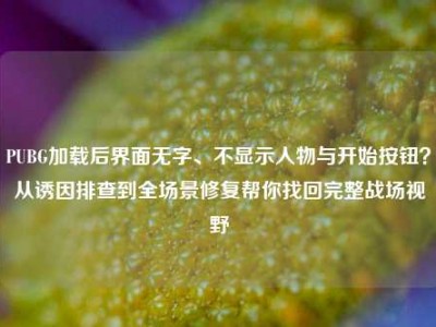 PUBG加载后界面无字、不显示人物与开始按钮？从诱因排查到全场景修复帮你找回完整战场视野