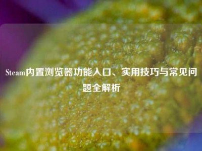 Steam内置浏览器功能入口、实用技巧与常见问题全解析