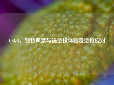 CSGO，独特风景与送空投体验及空枪应对