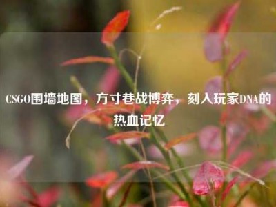 CSGO围墙地图，方寸巷战博弈，刻入玩家DNA的热血记忆