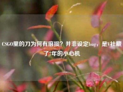 CSGO里的刀为何有磨损？并非设定bug，是V社藏了7年的小心机