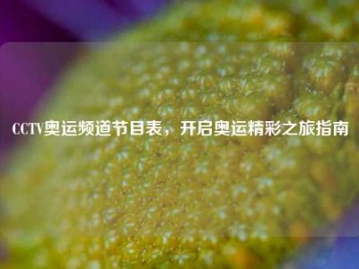 CCTV奥运频道节目表，开启奥运精彩之旅指南