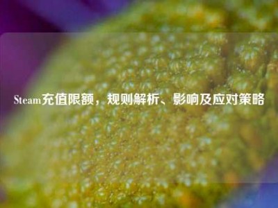 Steam充值限额，规则解析、影响及应对策略