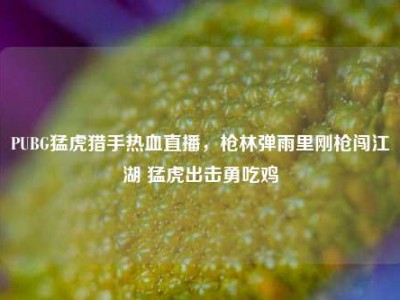PUBG猛虎猎手热血直播，枪林弹雨里刚枪闯江湖 猛虎出击勇吃鸡