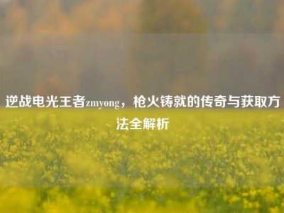 逆战电光王者zmyong，枪火铸就的传奇与获取方法全解析