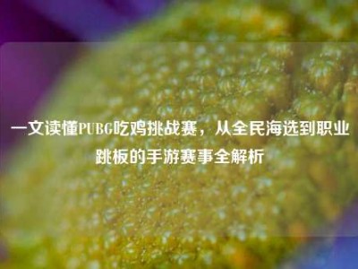 一文读懂PUBG吃鸡挑战赛，从全民海选到职业跳板的手游赛事全解析