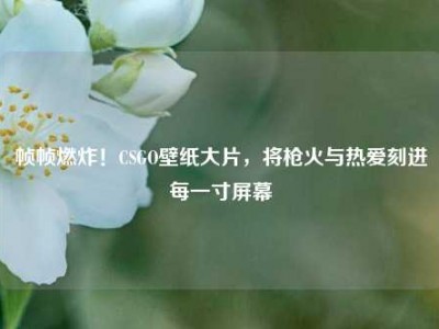 帧帧燃炸！CSGO壁纸大片，将枪火与热爱刻进每一寸屏幕