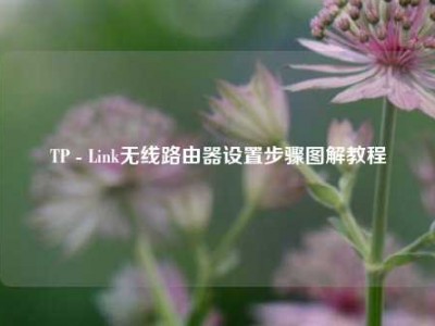 TP - Link无线路由器设置步骤图解教程