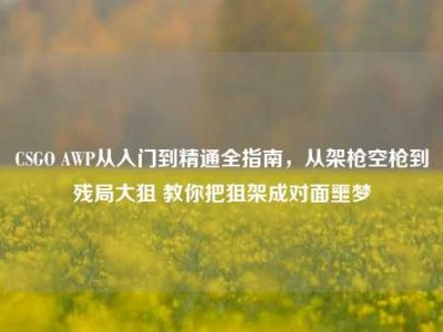 CSGO AWP从入门到精通全指南，从架枪空枪到残局大狙 教你把狙架成对面噩梦