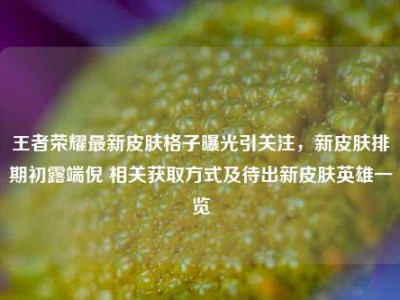 王者荣耀最新皮肤格子曝光引关注，新皮肤排期初露端倪 相关获取方式及待出新皮肤英雄一览