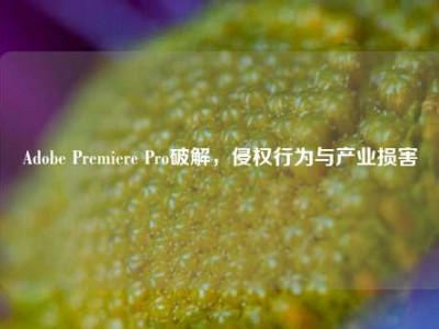 Adobe Premiere Pro破解，侵权行为与产业损害