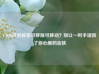 CSGO改名标签可移除可移动？别让一时手误毁了你心爱的皮肤
