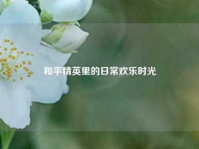和平精英里的日常欢乐时光