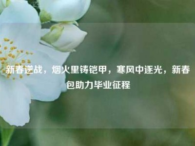 新春逆战，烟火里铸铠甲，寒风中逐光，新春包助力毕业征程