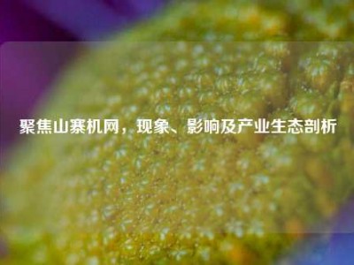 聚焦山寨机网，现象、影响及产业生态剖析