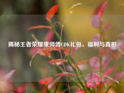 揭秘王者荣耀康师傅CDK礼包，福利与真相