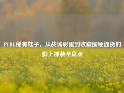 PUBG稀有鞋子，从战场彩蛋到收藏圈硬通货的脚上神装全盘点