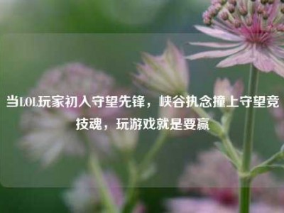当LOL玩家初入守望先锋，峡谷执念撞上守望竞技魂，玩游戏就是要赢