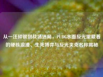 从一汪碎银到战场迷局，PUBG水面反光里藏着的硬核浪漫、生死博弈与反光夹克名称揭秘