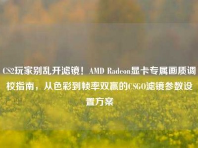 CS2玩家别乱开滤镜！AMD Radeon显卡专属画质调校指南，从色彩到帧率双赢的CSGO滤镜参数设置方案