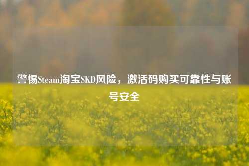 警惕Steam淘宝SKD风险,激活码购买可靠性与账号安全