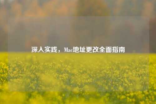 深入实践,Mac地址更改全面指南