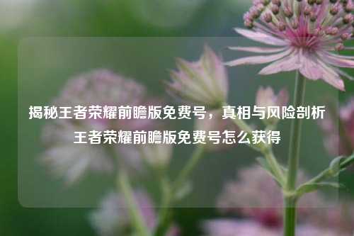 揭秘王者荣耀前瞻版免费号,真相与风险剖析王者荣耀前瞻版免费号怎么获得
