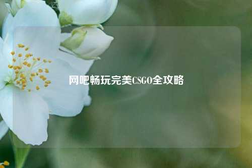 网吧畅玩完美CSGO全攻略