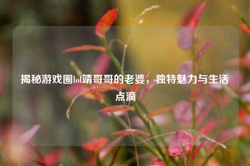 揭秘游戏圈lol靖哥哥的老婆，独特魅力与生活点滴