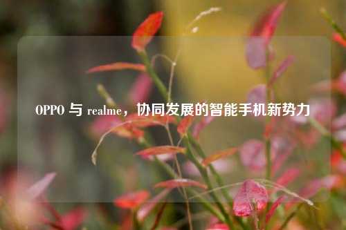 OPPO 与 realme,协同发展的智能手机新势力