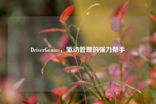 DriverGenius,驱动管理的强力帮手