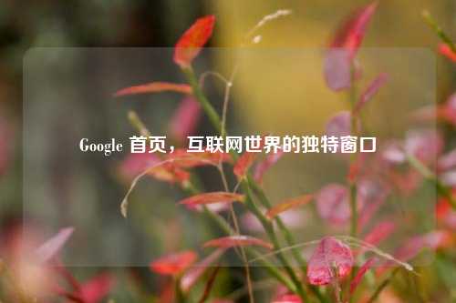Google 首页,互联网世界的独特窗口