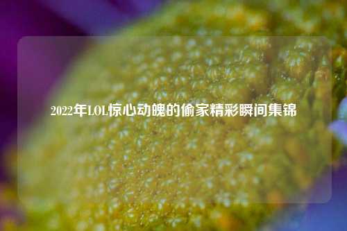 2022年LOL惊心动魄的偷家精彩瞬间集锦