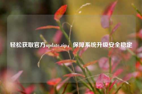 轻松获取官方update.zip，保障系统升级安全稳定