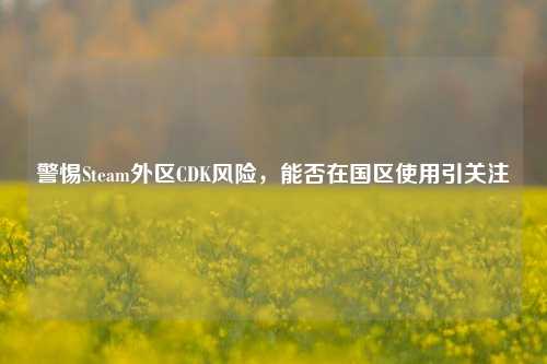 警惕Steam外区CDK风险,能否在国区使用引关注